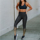 Womens Gradient Color Seamless Leggings - millennial-fashion-hub